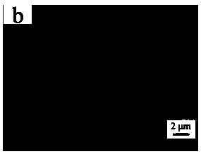 Cellulose nano-fiber/polymethyl methacrylate composite film preparation method