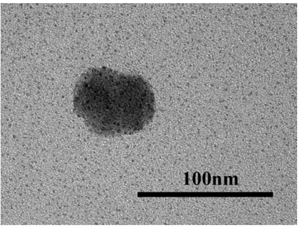 Preparation method for amorphous calcium phosphate nanospheres