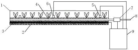 Device for automatically controlling temperature and humidity of rice seedling raising plate