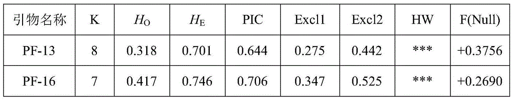 Microsatellite marker primers used for pinctada fucata martensii microsatellite family identification, identification method and application