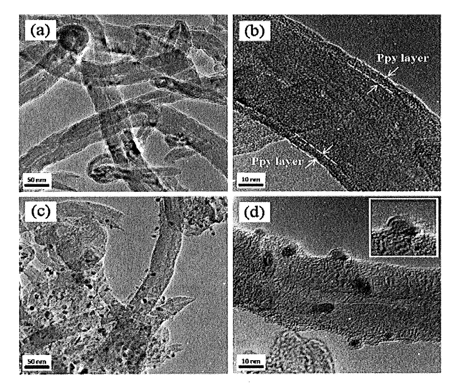 Non-platinum oxygen reduction catalysts for polymer electrolyte membrane fuel cell and method for preparing the same