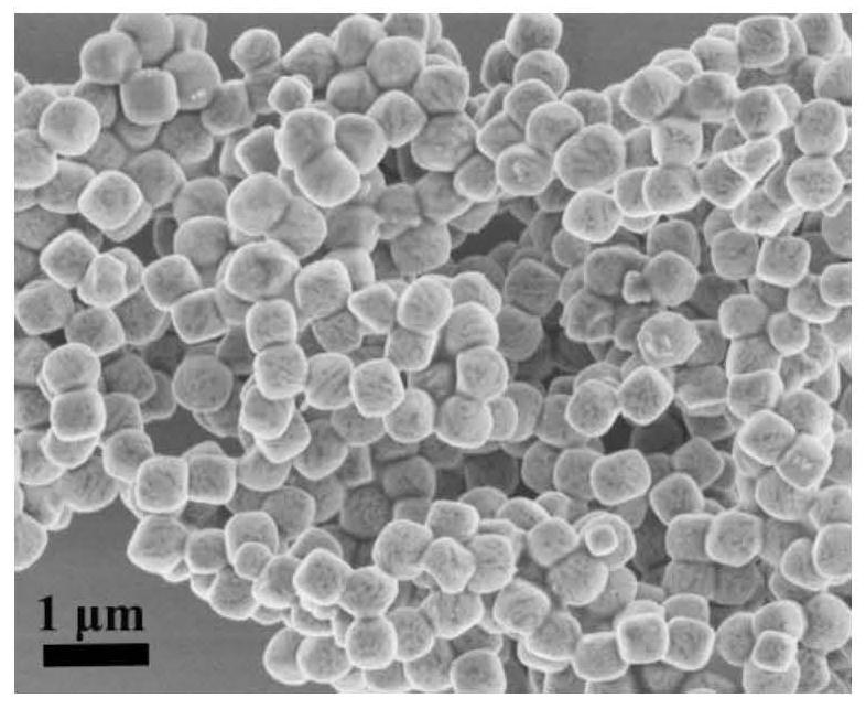 A kind of sulfur cathode material with core-shell structure and preparation method thereof, lithium-sulfur battery positive electrode sheet and lithium-sulfur battery