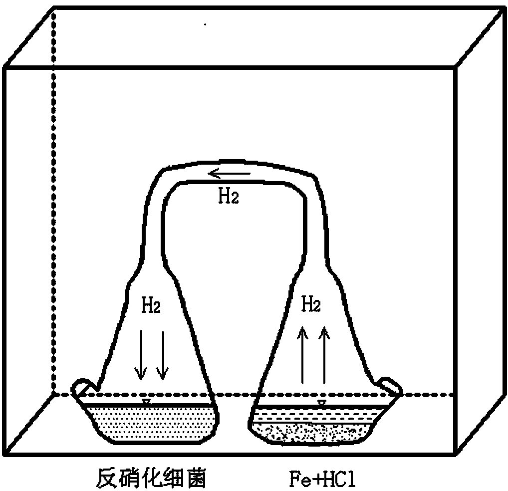 Preparation method and application of attapulgite/nano-iron composite material-microorganism coupled body