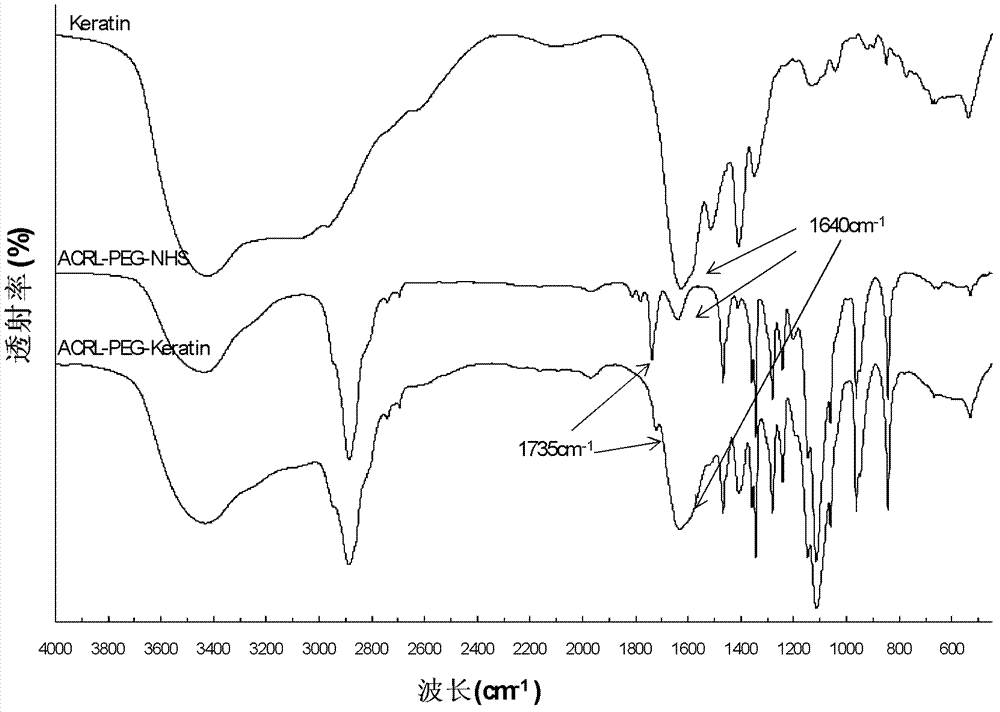 Keratin-peptide-modified polyethylene glycol hydrogel, and preparation method and application thereof