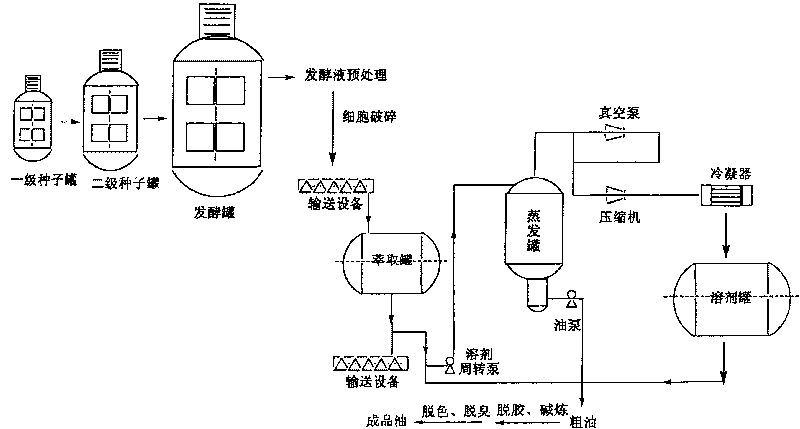 Technique for extracting and refining DHA enriched fatty acid from Crypthecodinium cohnii