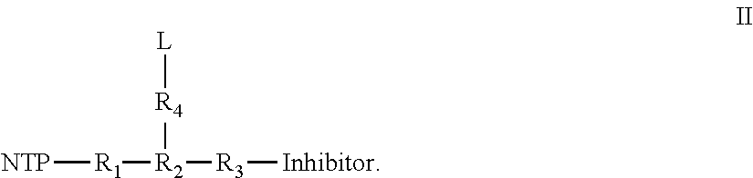 Nucleotide analogs