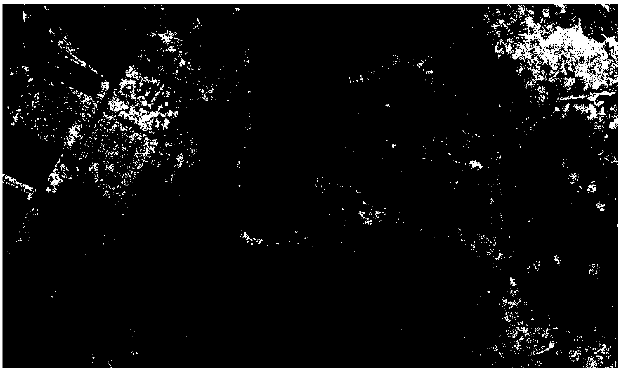 Method for estimating invasive plant biomass by aerial photography of unmanned aerial vehicle