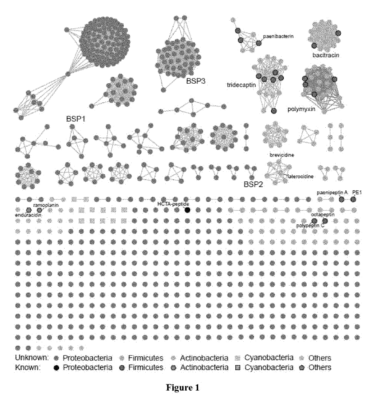 Discovery of Cationic Nonribosomal Peptides as Gram-Negative Antibiotics Through Global Genome Mining