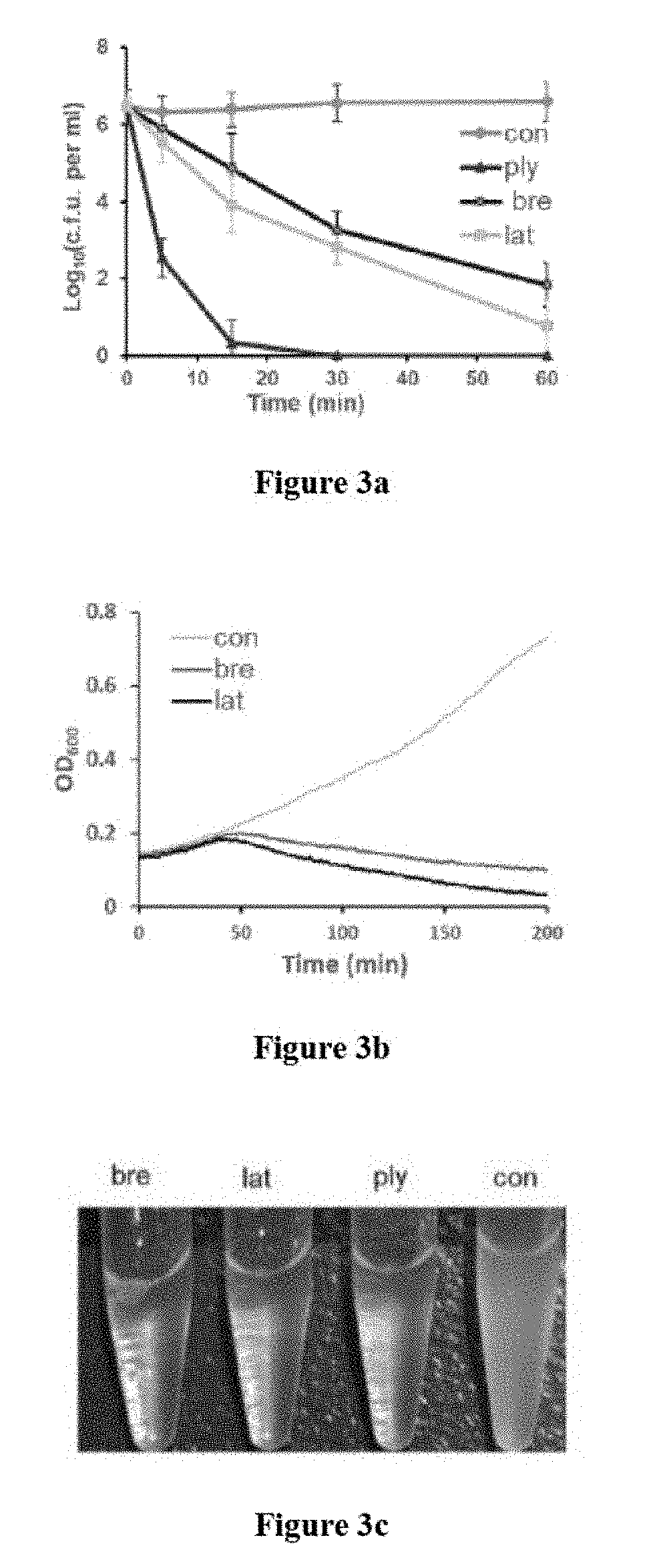 Discovery of Cationic Nonribosomal Peptides as Gram-Negative Antibiotics Through Global Genome Mining