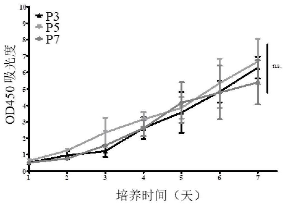 Preparation method of human adult cardiac mesenchymal-like stem cells