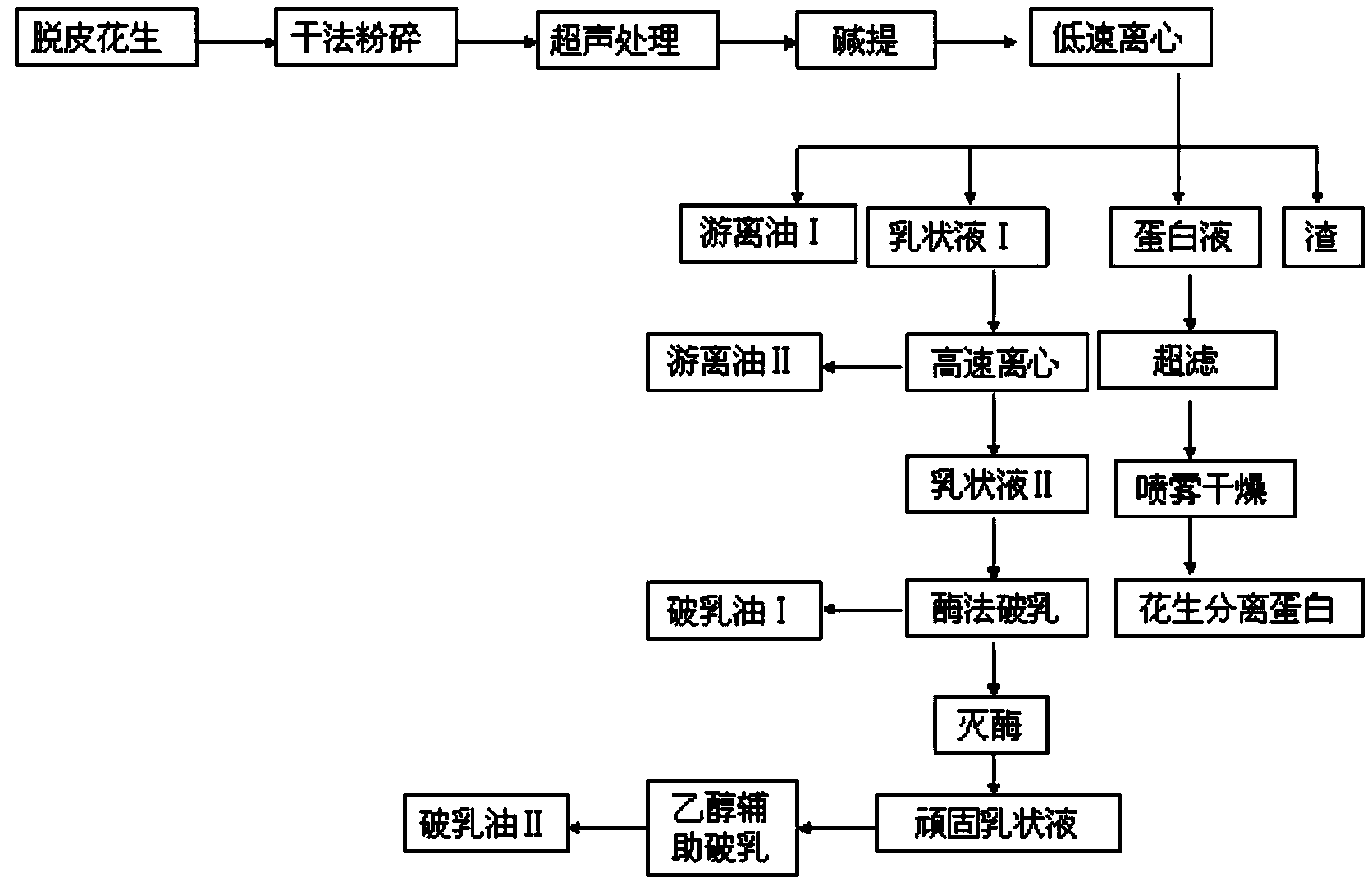 Method for extracting peanut oil and fat and protein with ultrasonic assisted aqueous enzymatic method