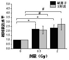 A kind of serum miRNA marker and the method for detecting ionizing radiation damage thereof