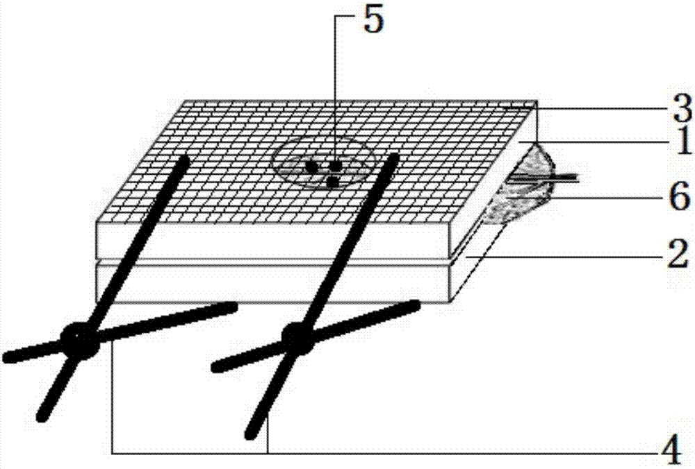 Device for limiting aphid activity range and method for fixed-point aphid breeding and reproduction