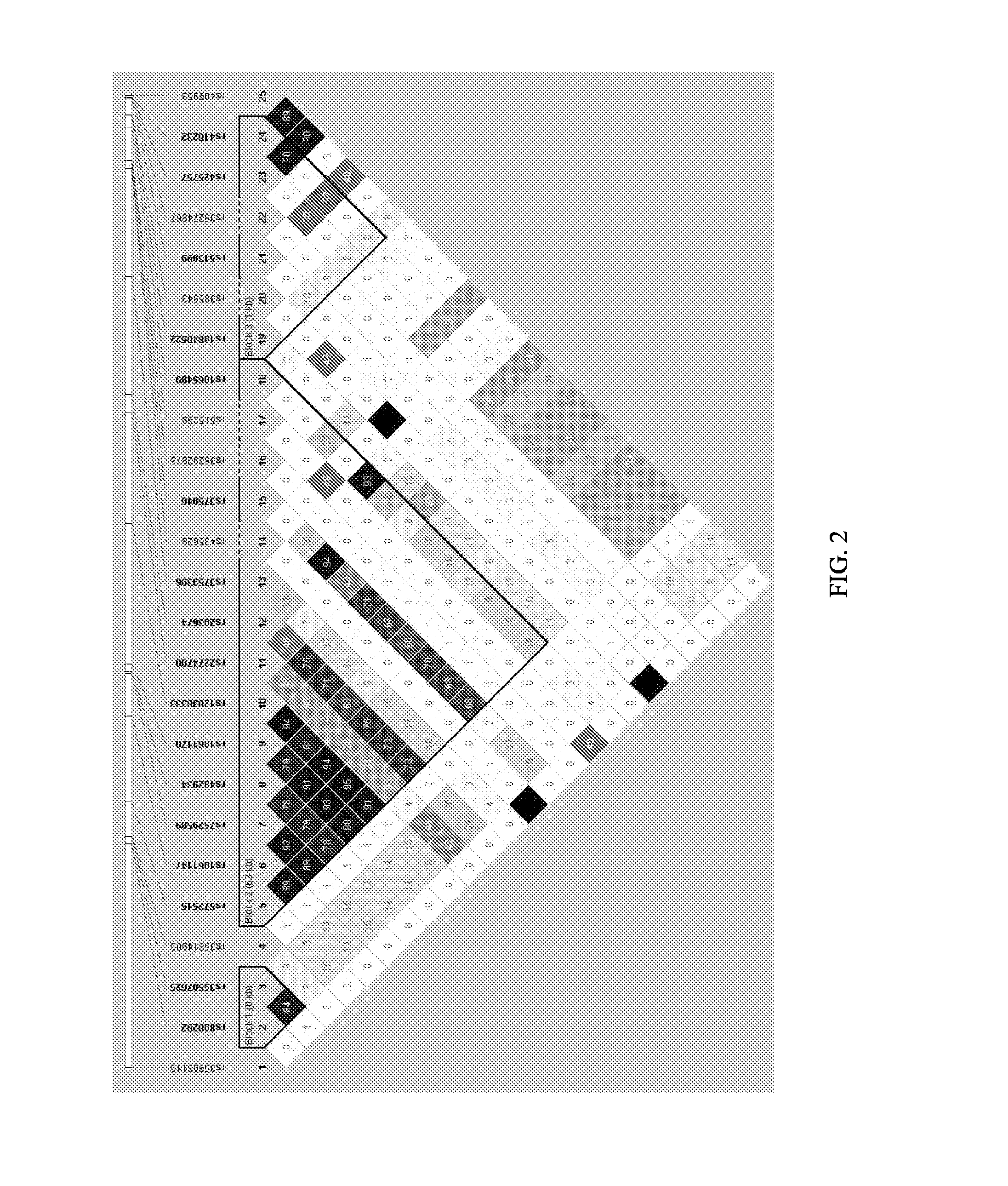 Allelic Variants Associated with Advanced Age-Related Macular Degeneration