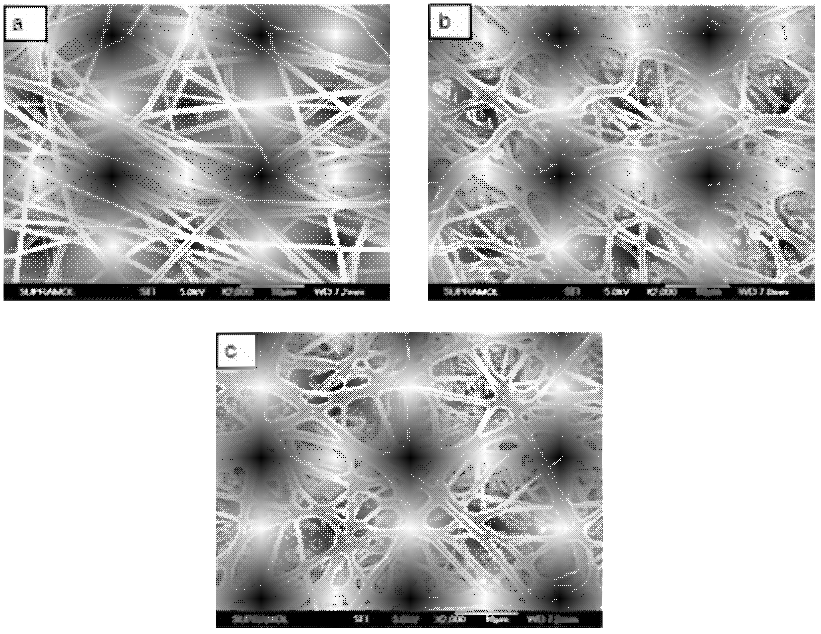 Composite nano fiber support material, as well as preparation method and application in bone repairing aspect