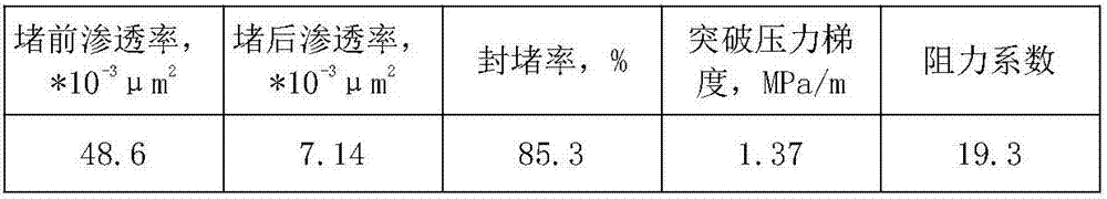 Low permeability fracture oil deposit double-segment plug-type profile modifier and using method thereof