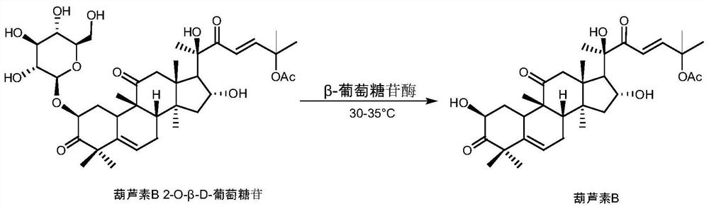 Beta-glucosidase gene, coding enzyme, engineering bacterium and application thereof