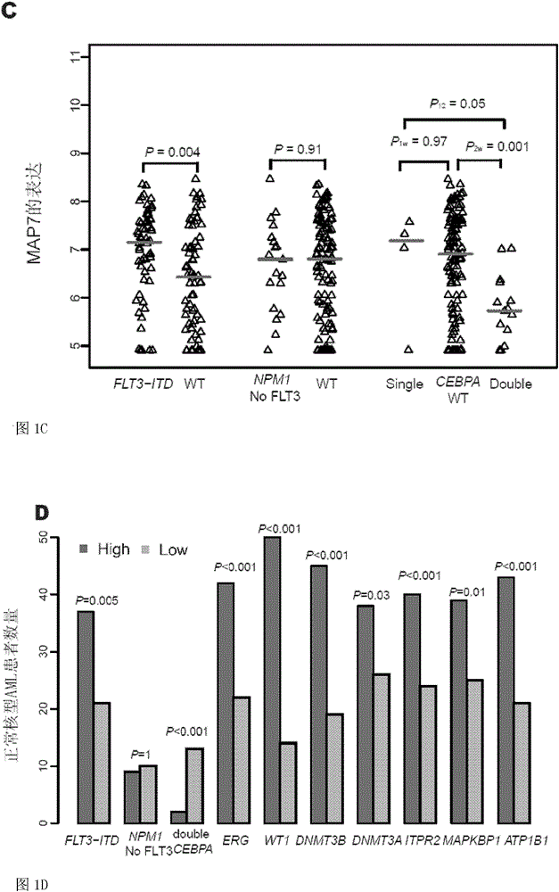 Method for detecting expression level of MAP7 in CN-AML tissue sample and application thereof