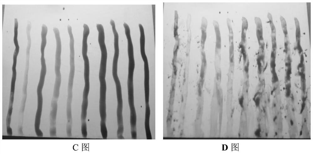 A kind of plant-based water-based art paint and preparation method thereof