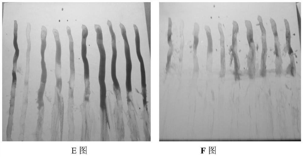 A kind of plant-based water-based art paint and preparation method thereof