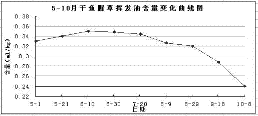 Herbahouttuyniae cultivation method