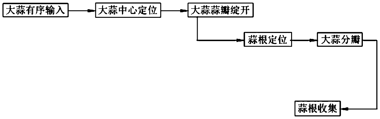 Full-automatic garlic clove separating process