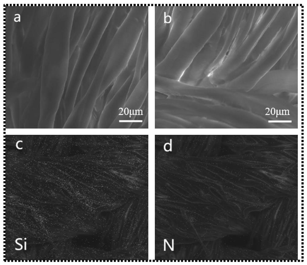 A continuous oil-water separation membrane and its preparation method