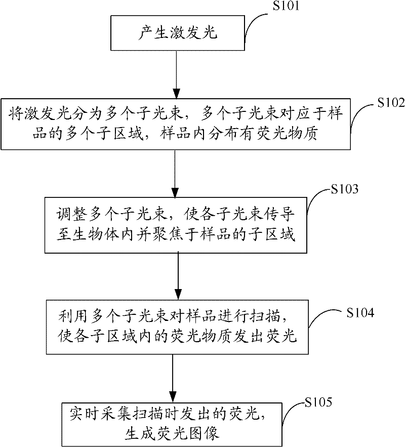 Fluorescent endoscopic imaging method and system