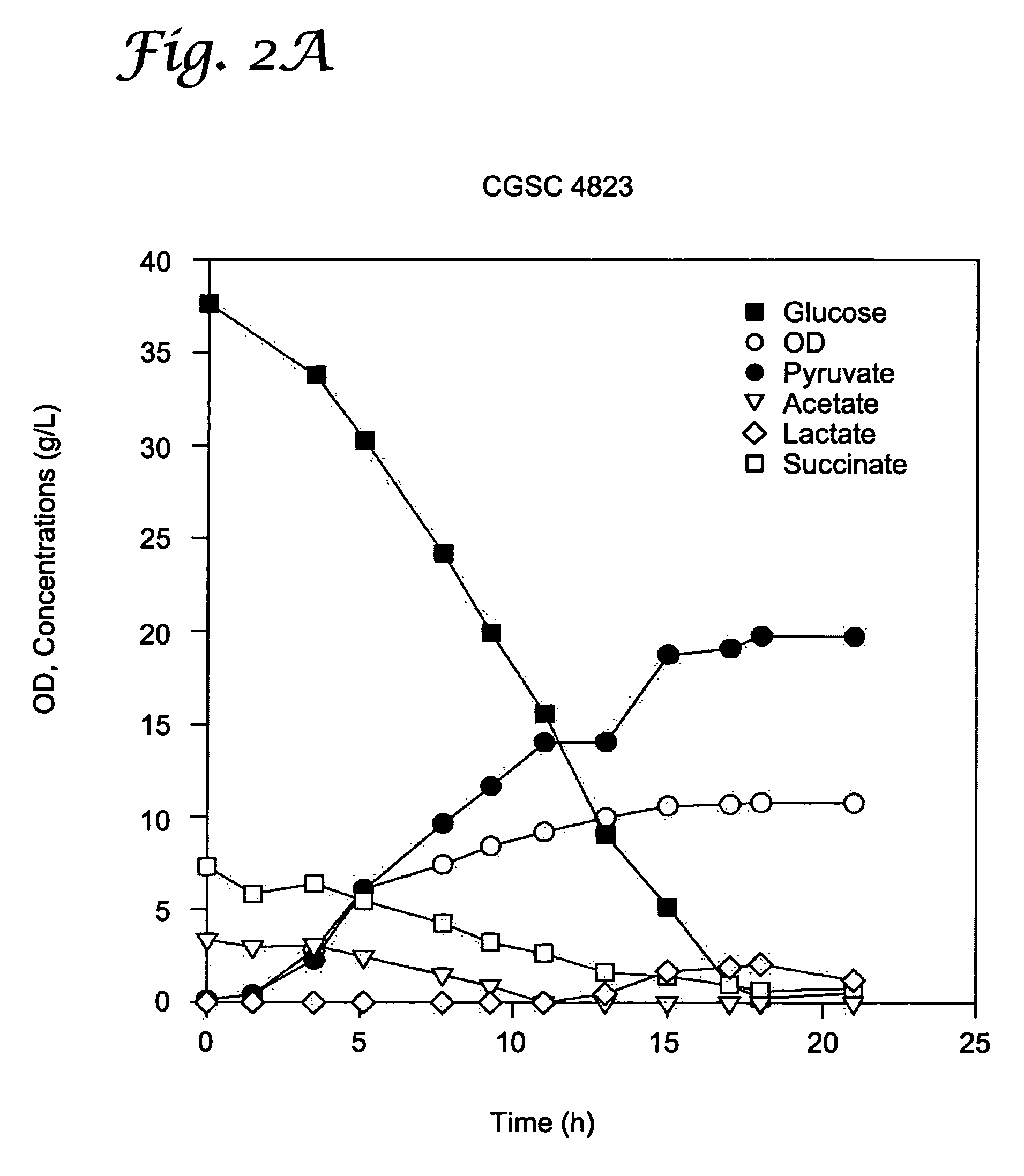 Microbial production of pyruvate and pyruvate derivatives