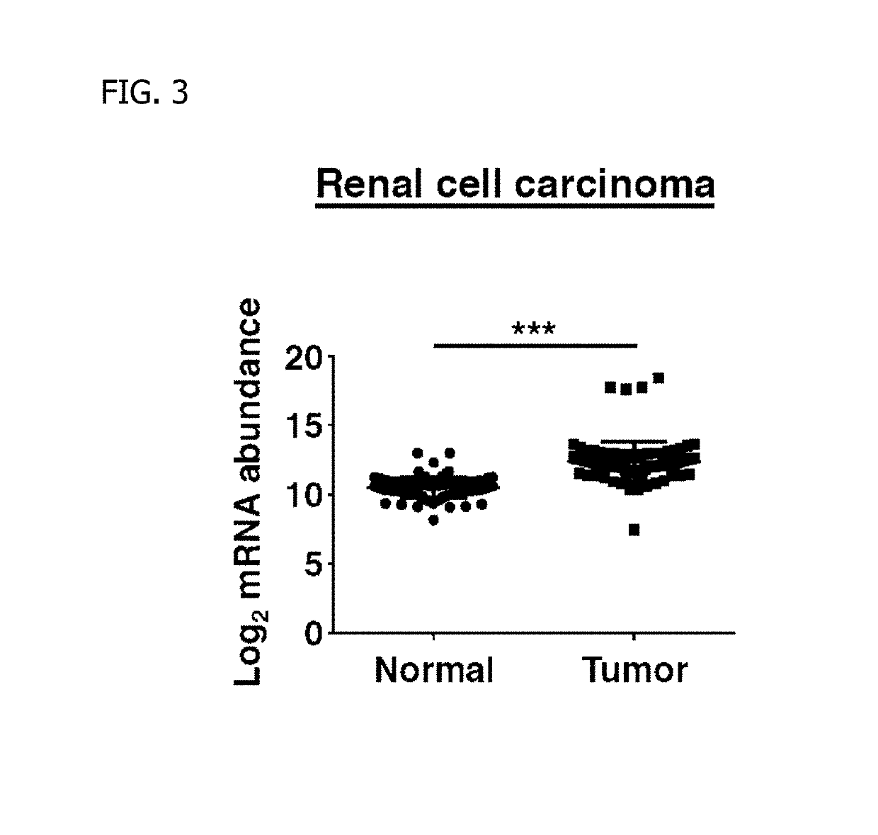 Antitumor Agent