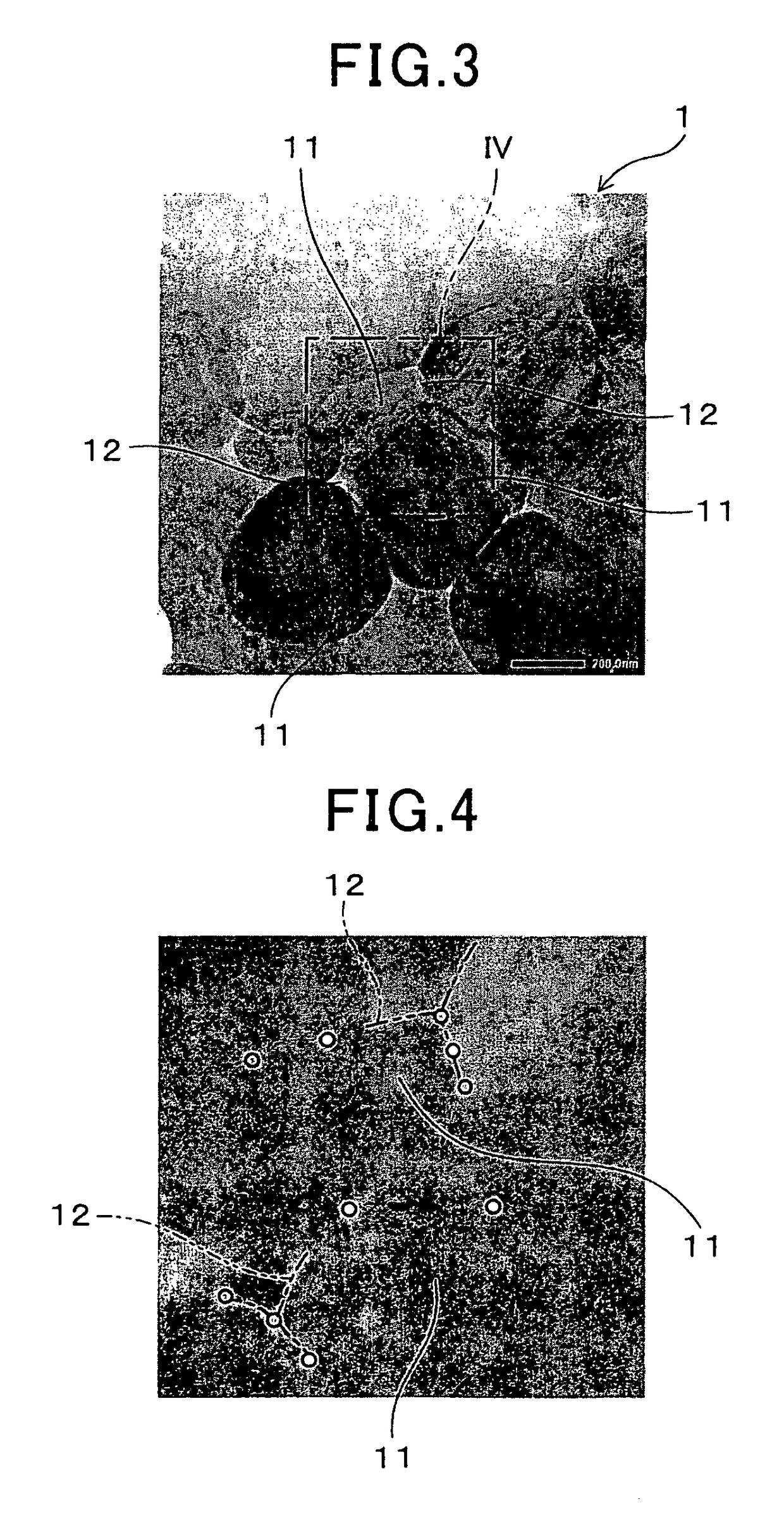 Solid electrolyte body and gas sensor