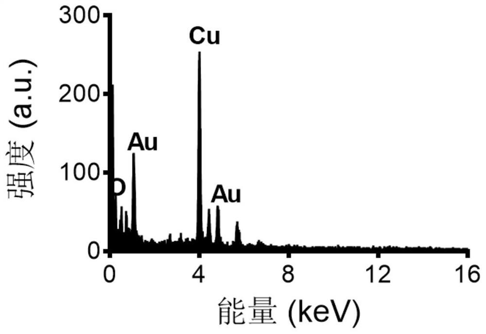 Tumor cell nano-gold vesicles, immune nano-gold vesicles, preparation method and application