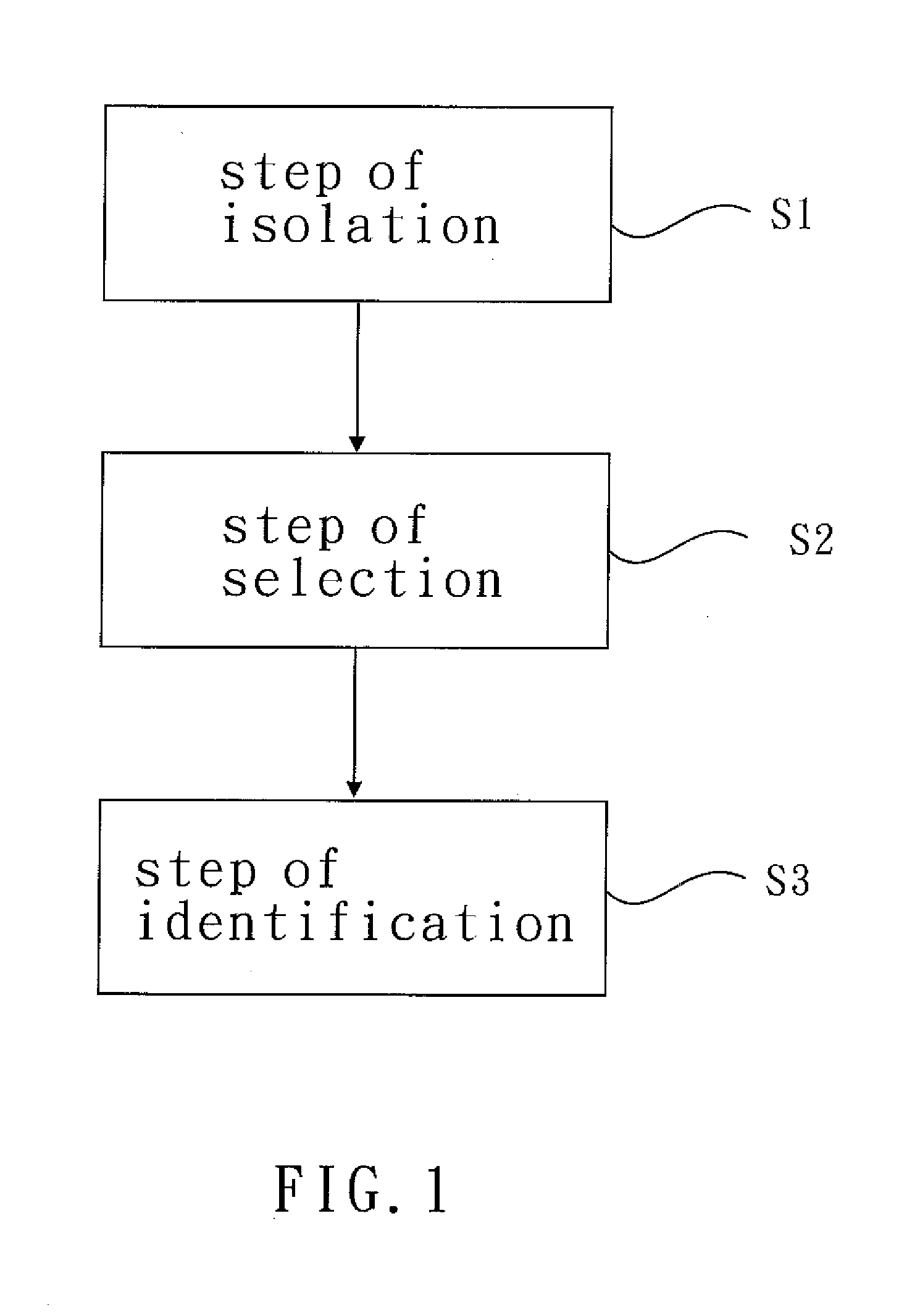 Newly isolated bacteriophage specific to klebsiella pneumoniae