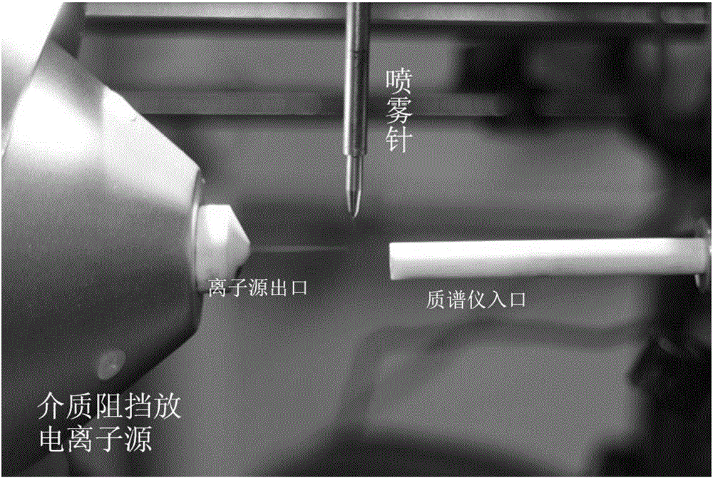 Surface plasma resonance and mass spectrum combined device and application method thereof