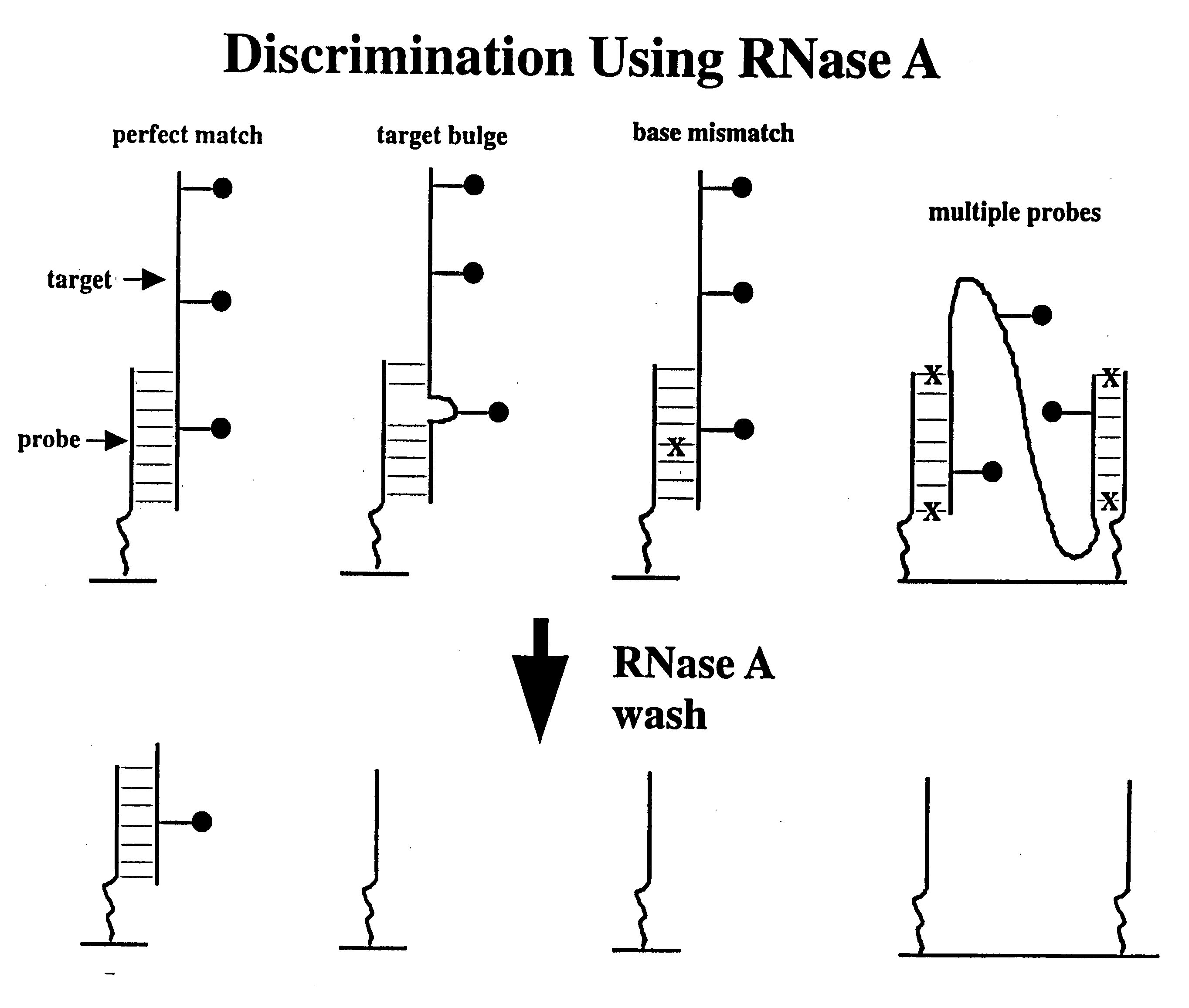 Methods of enzymatic discrimination enhancement and surface bound double-stranded DNA