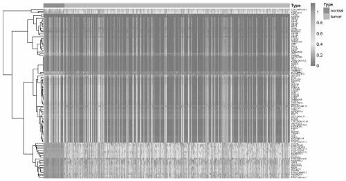 Methylation molecular markers for diagnosing lung adenocarcinoma and application of methylation molecular markers for diagnosing lung adenocarcinoma