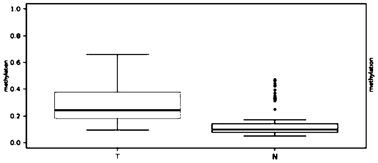 Methylation molecular markers for diagnosing lung adenocarcinoma and application of methylation molecular markers for diagnosing lung adenocarcinoma