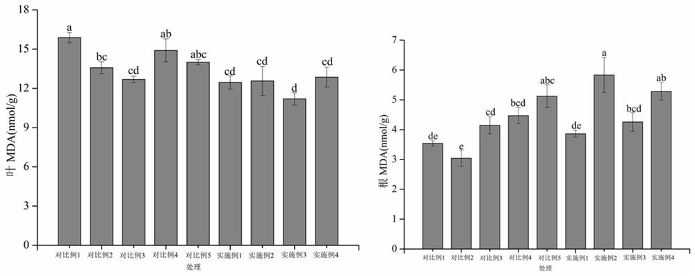 Method for promoting economic crop ricinus communis to repair copper and cadmium combined polluted soil