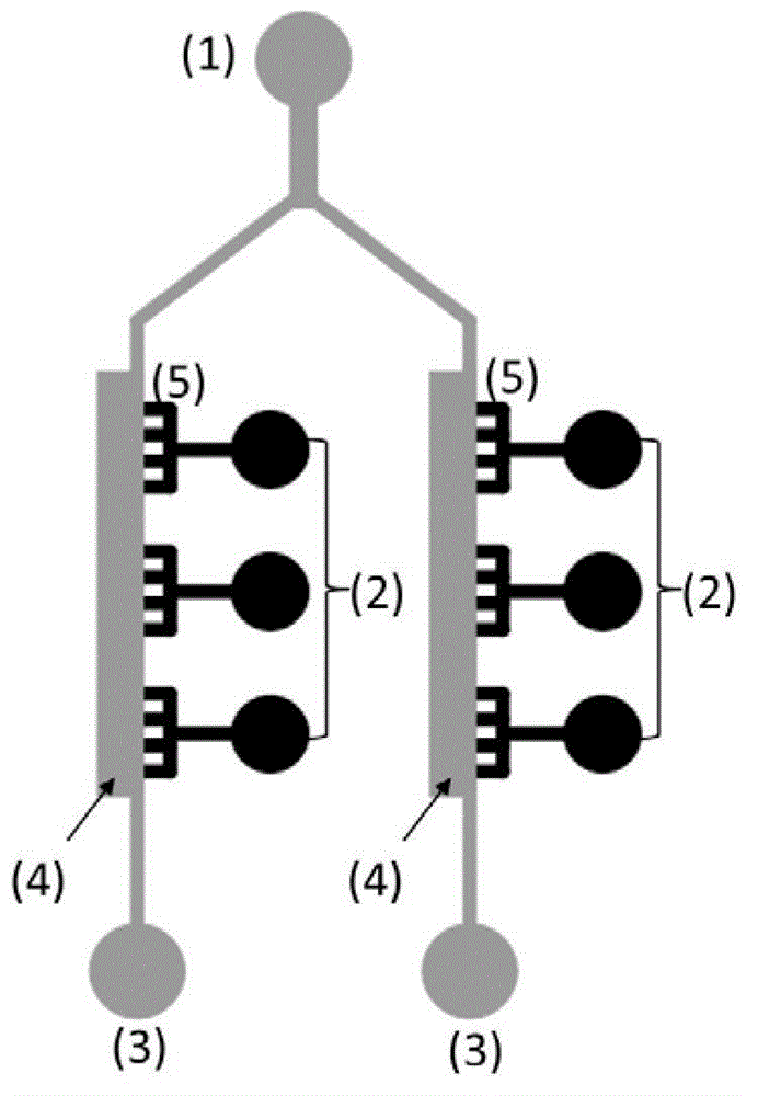 Tumor cell migration dynamics monitoring method based on microfluidic chip