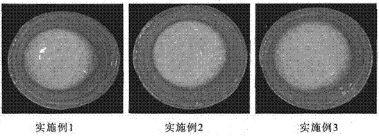 Ointment for treating leucoderma by combination of fluoxetine and traditional Chinese medicine component as well as preparation method thereof