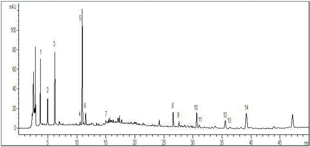 Construction method and quality detection method of standard fingerprint and characteristic map of Shuoquan preparation