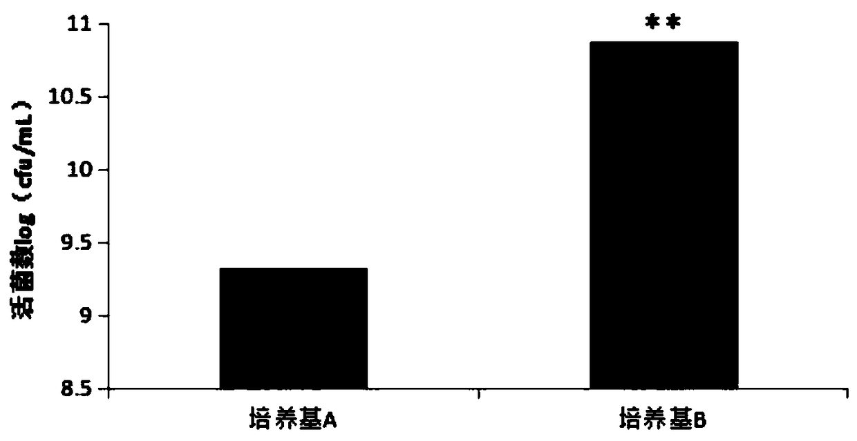 Lactobacillus acidophilus composite agent and preparation method and application thereof