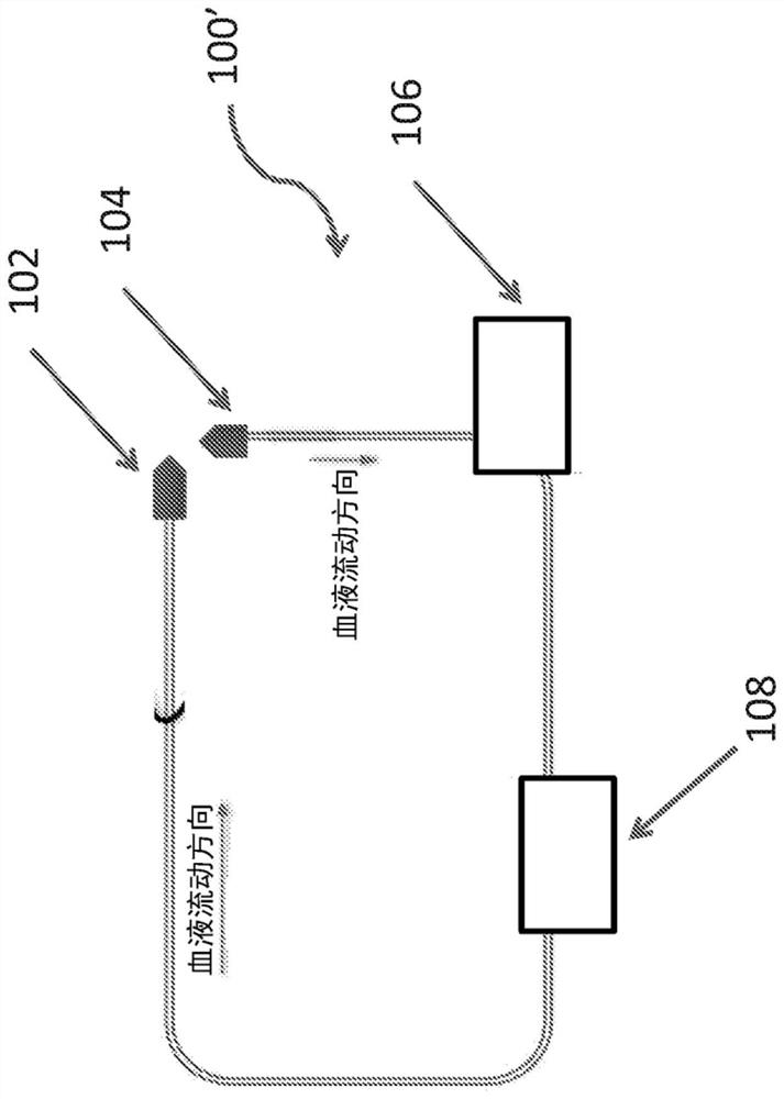 Systems and methods for extracorporeal support