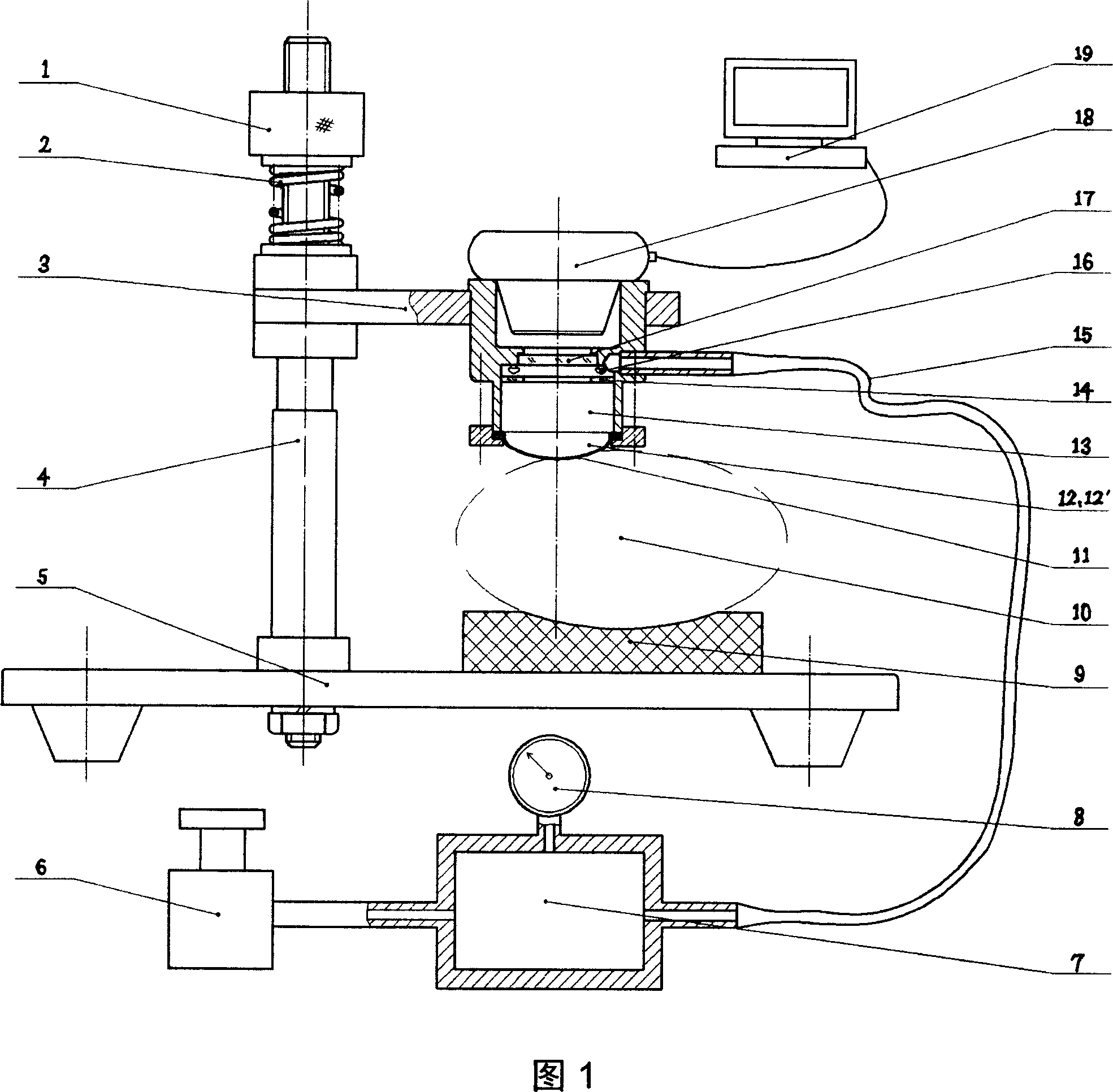 Sphygmus dynamic image information collecting system