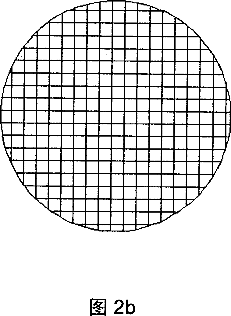 Sphygmus dynamic image information collecting system