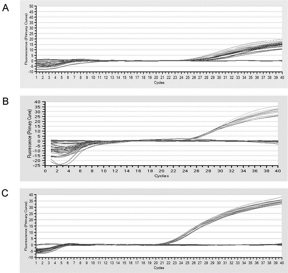 Real-time fluorescence quantification PCR primers and probes for identifying three kinds of pratylenchus coffeae on sugarcane and kit thereof