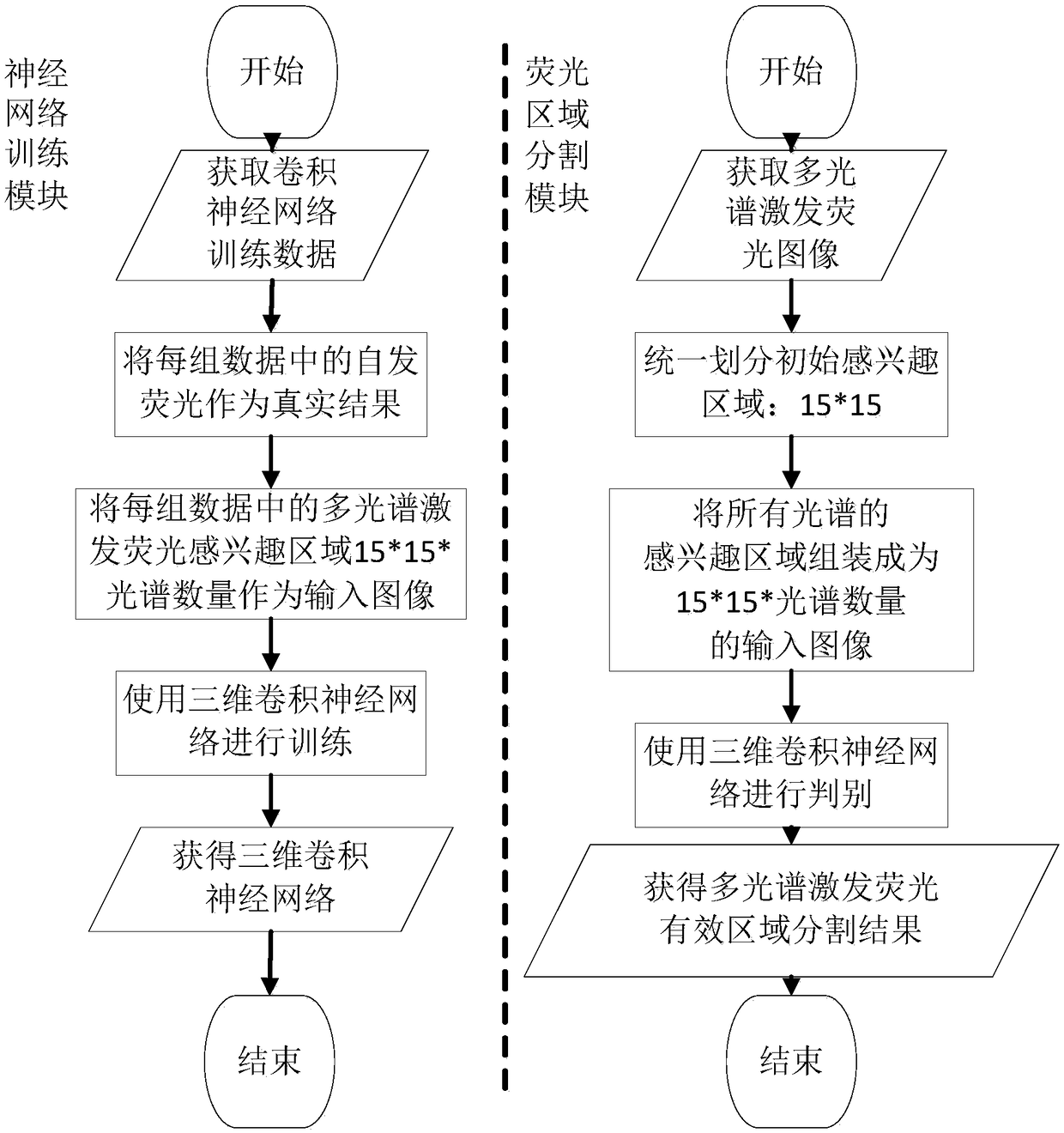 Multispectral fluorescence segmentation method and apparatus