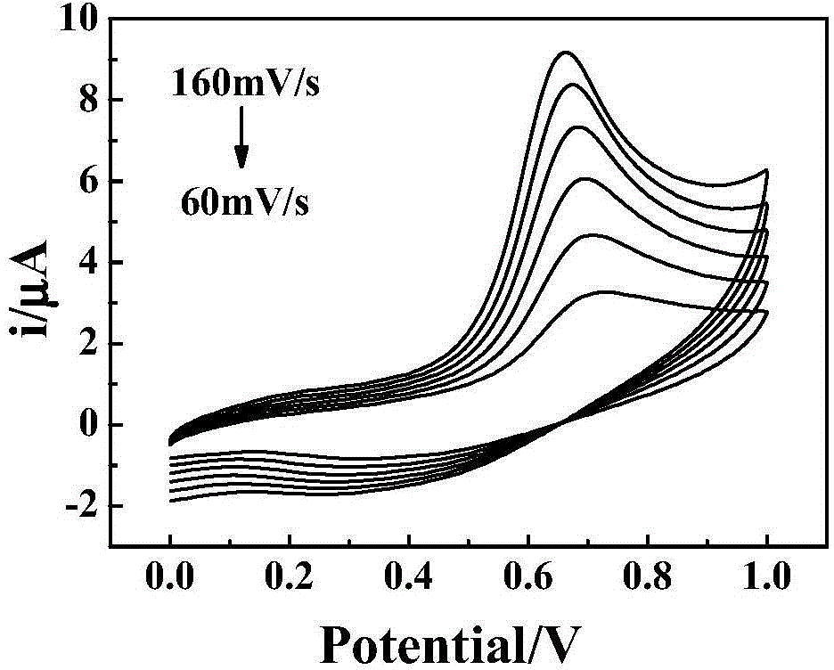 Method for measuring octyl phenol by virtue of electrochemical sensor