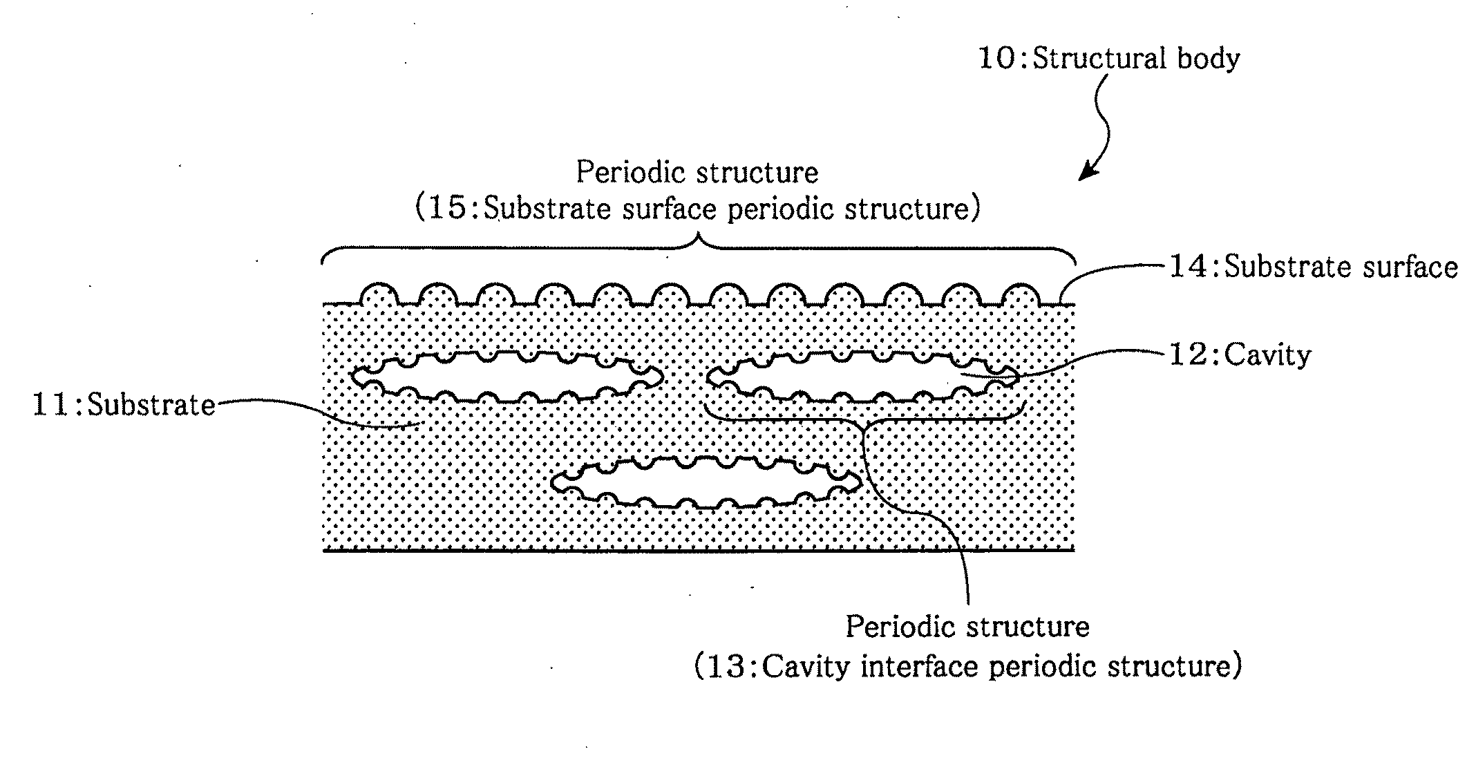 A Structural Body, a Method for Forming a Structural Body, an Apparatus  for Forming a Structural Body, a Method for Reading a Structural Color and/or Diffraction Light, and a Truth/False Discriminating Method