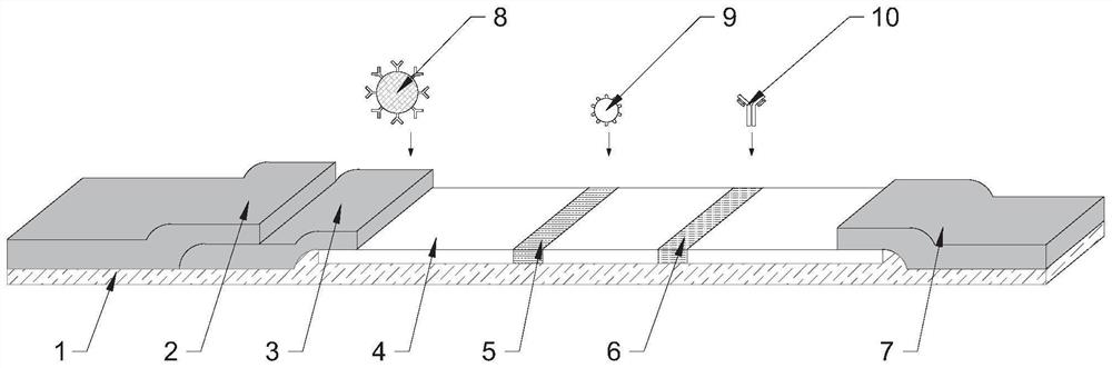 Aggregation-induced emission microsphere based on N-hydroxyethyl-1, 8-naphthalimide tetraphenyl ethylene derivative and application of aggregation-induced emission microsphere